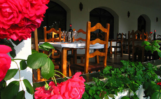 Restaurante Alhambra Hostal Patio Jardines Cadiz