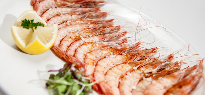 Gamba Roja
