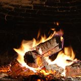 EL PEDRUSCO DE ALDEALCORVO