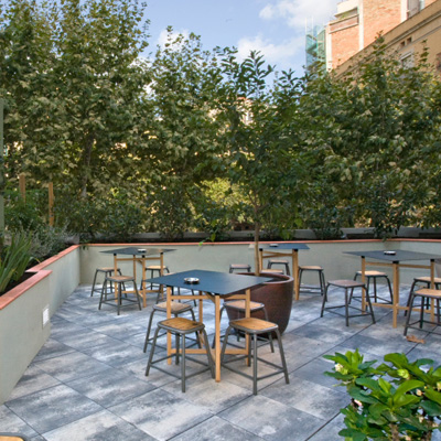 terraza federal cafe madrid