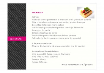 Cocktail II Navidad 2013