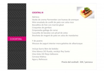 Cocktail III Navidad 2013