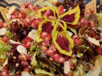 Vegano