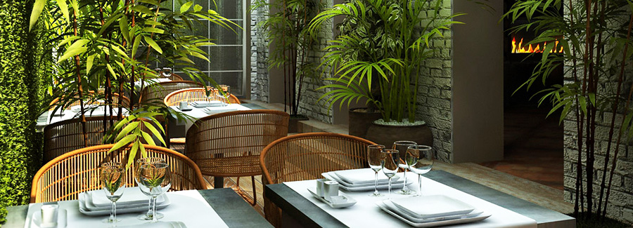 terraza_edulis