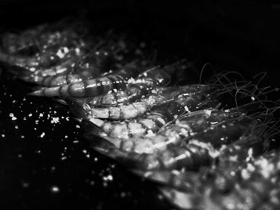Gamba roja