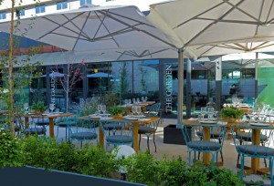 THE GARDEN