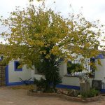 LA BLANQUILLA