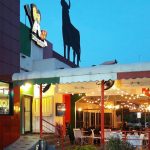 PIZZAIOLO