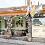 EL OLIVO DE MIGUEL Y CELIA