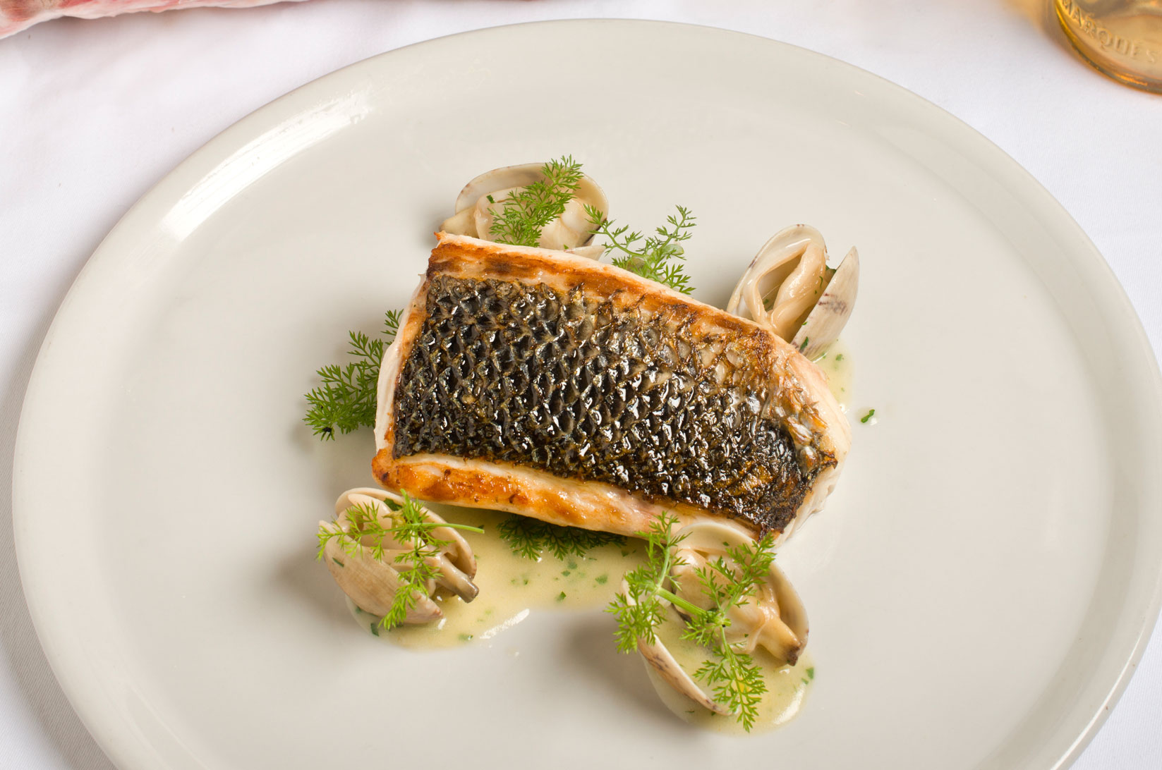 La cocina de Membibre