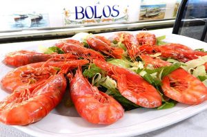 BOLOS