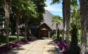 LA CABAÑA - FINCA BUENAVISTA