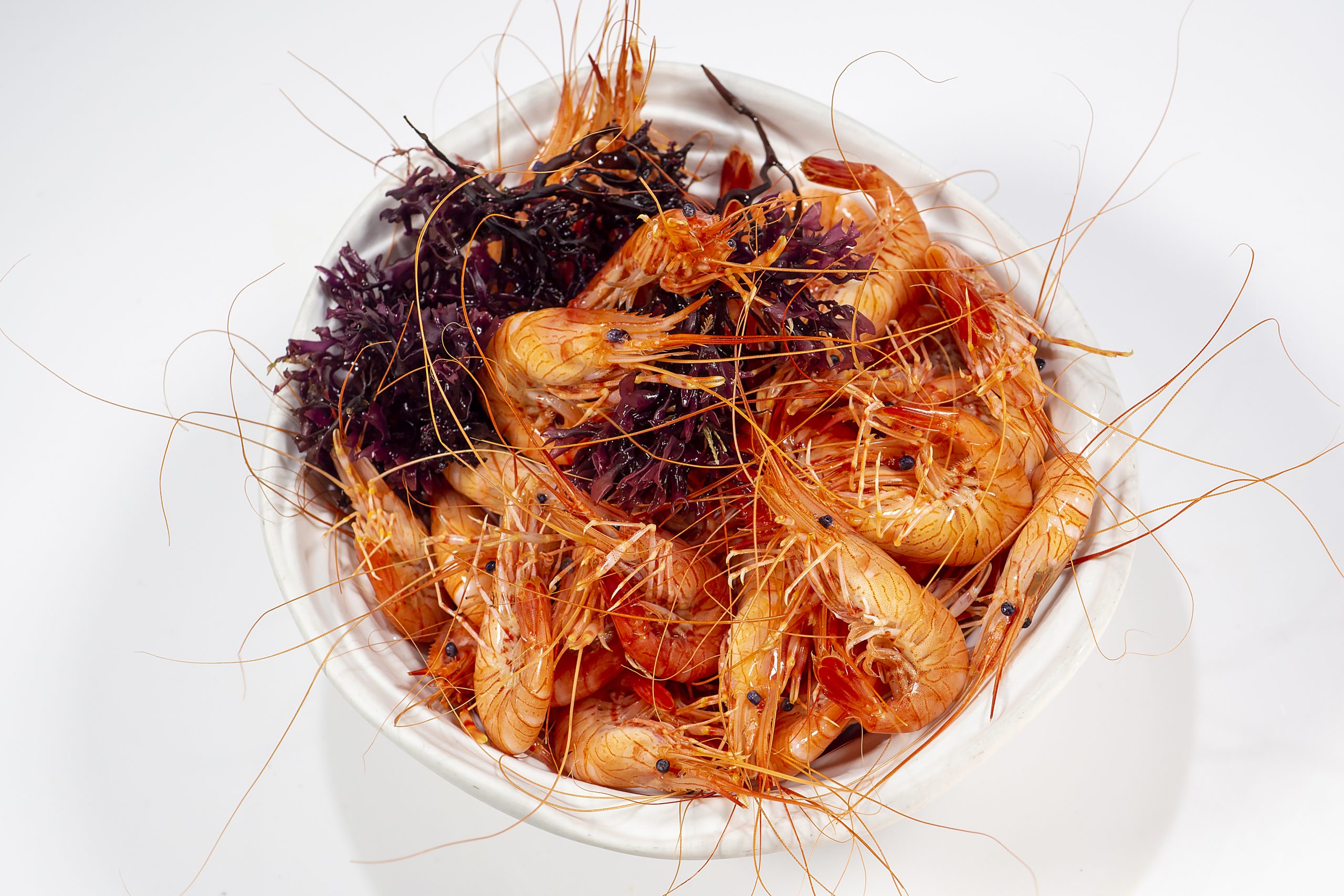 LA DESPENSA DEL ETXANOBE