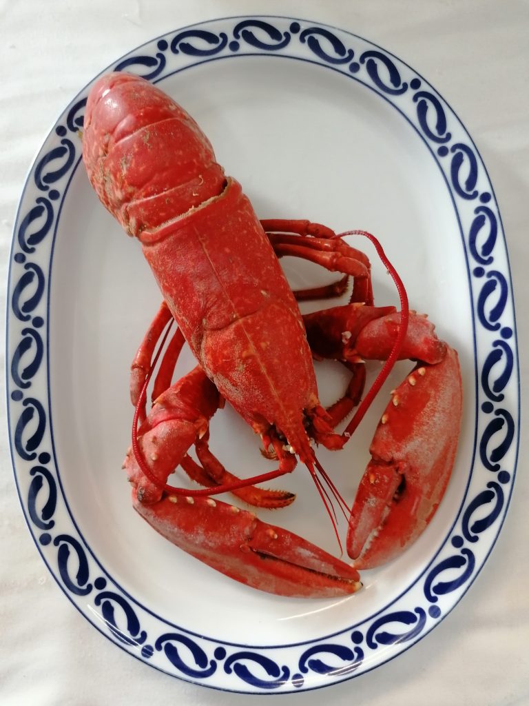 Bogavante Cocido