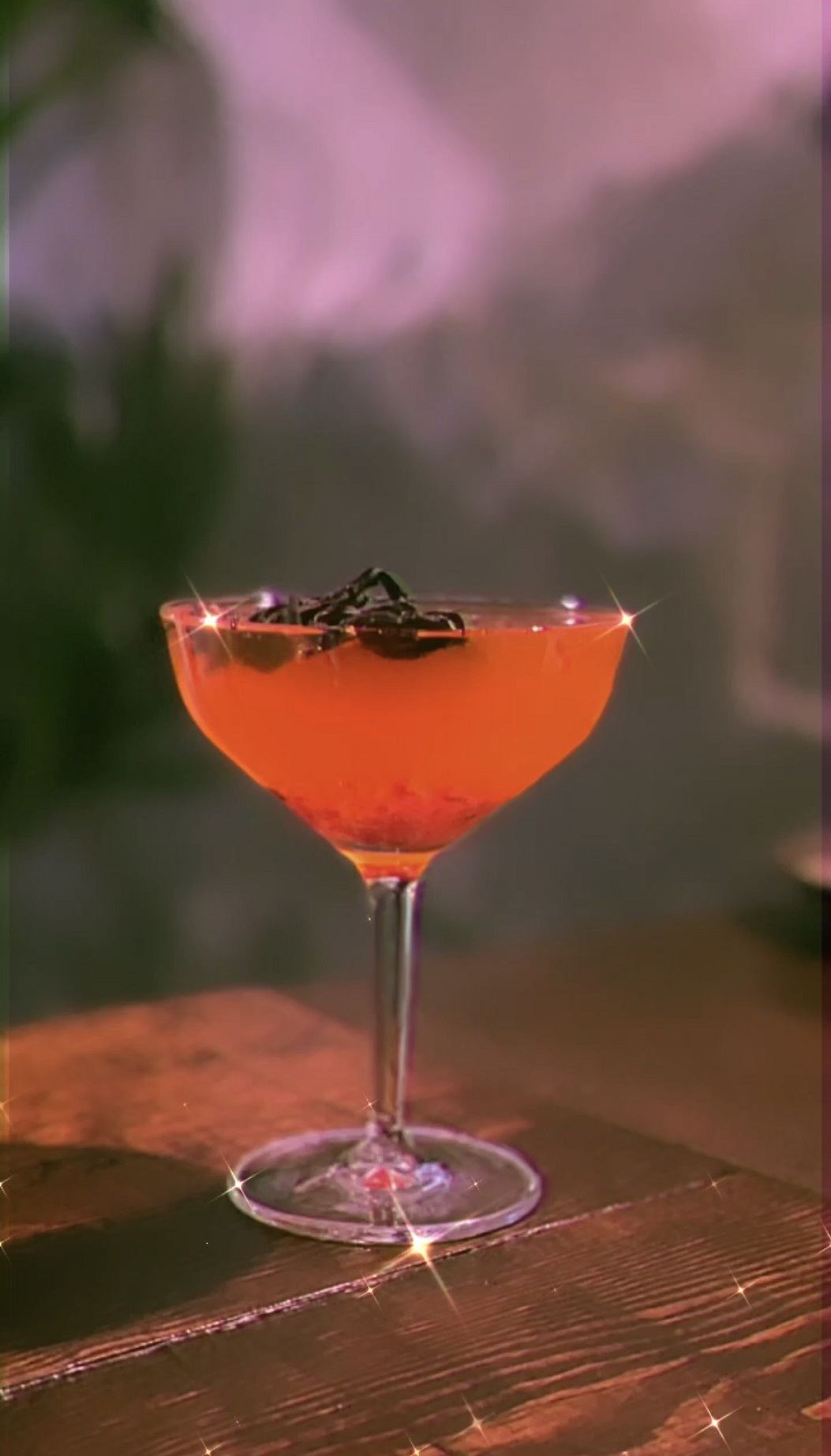 COLECCIÓN TAPAS Y CÓCTELES