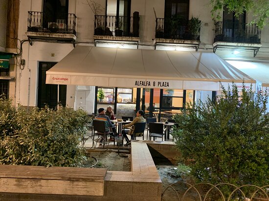ALFALFA 8 PLAZA