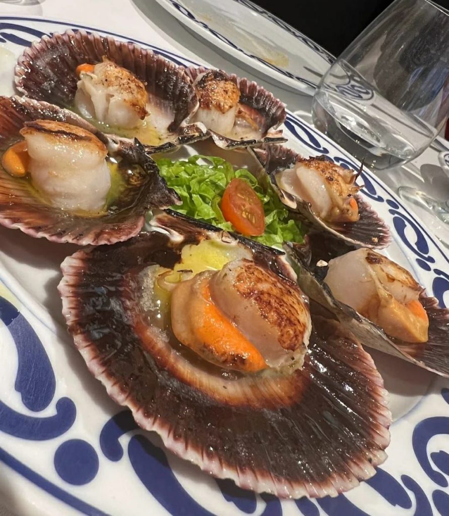 Vieiras
