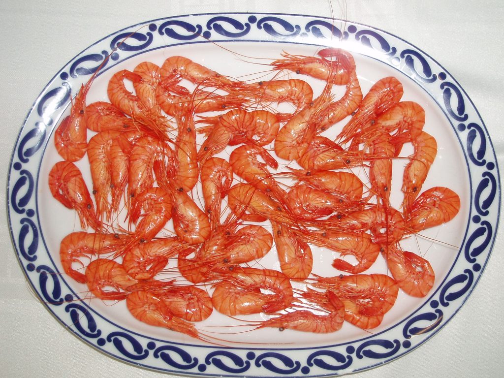 Camarones