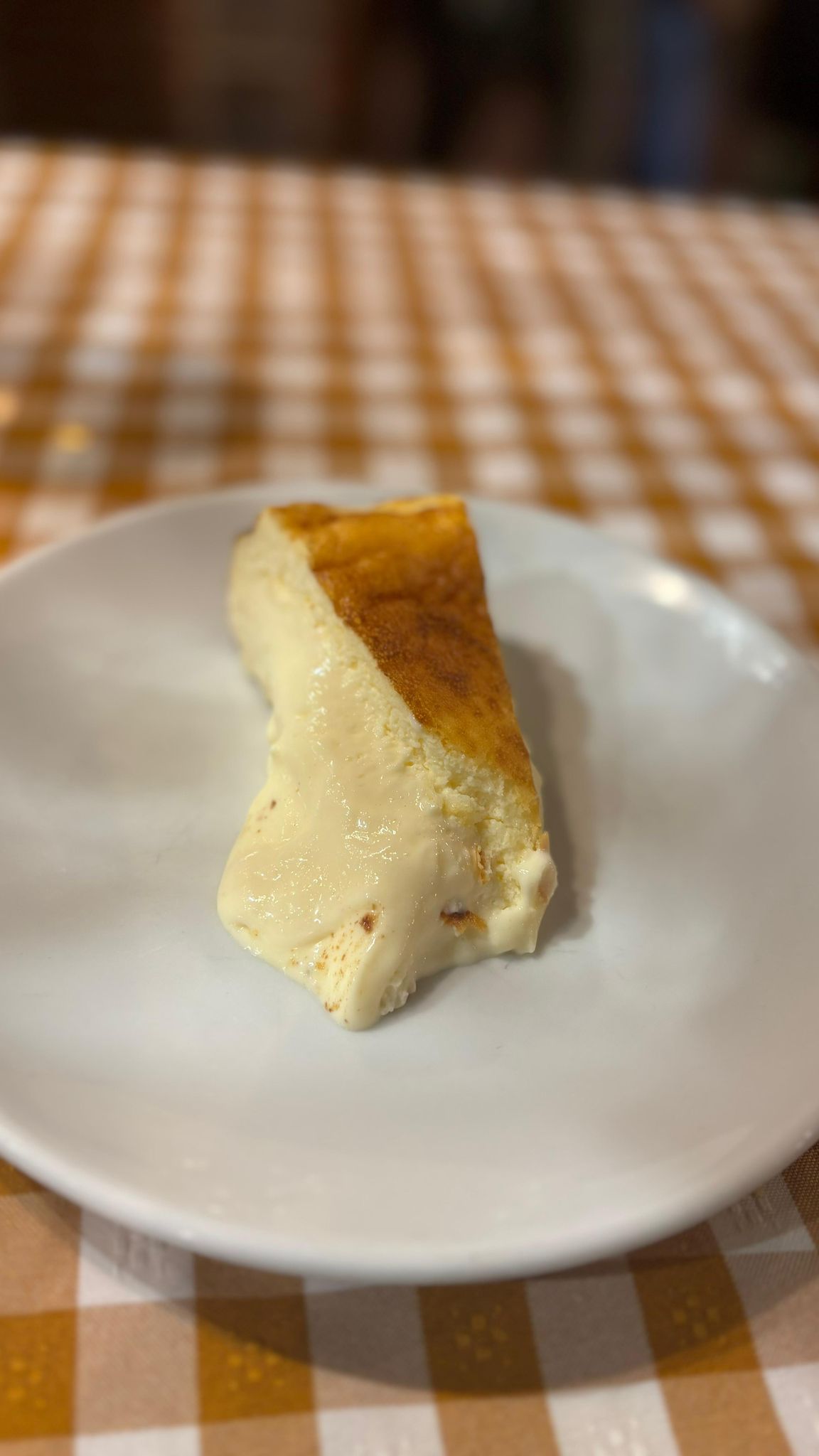 BOGA-BOGA TABERNA PREMIUM