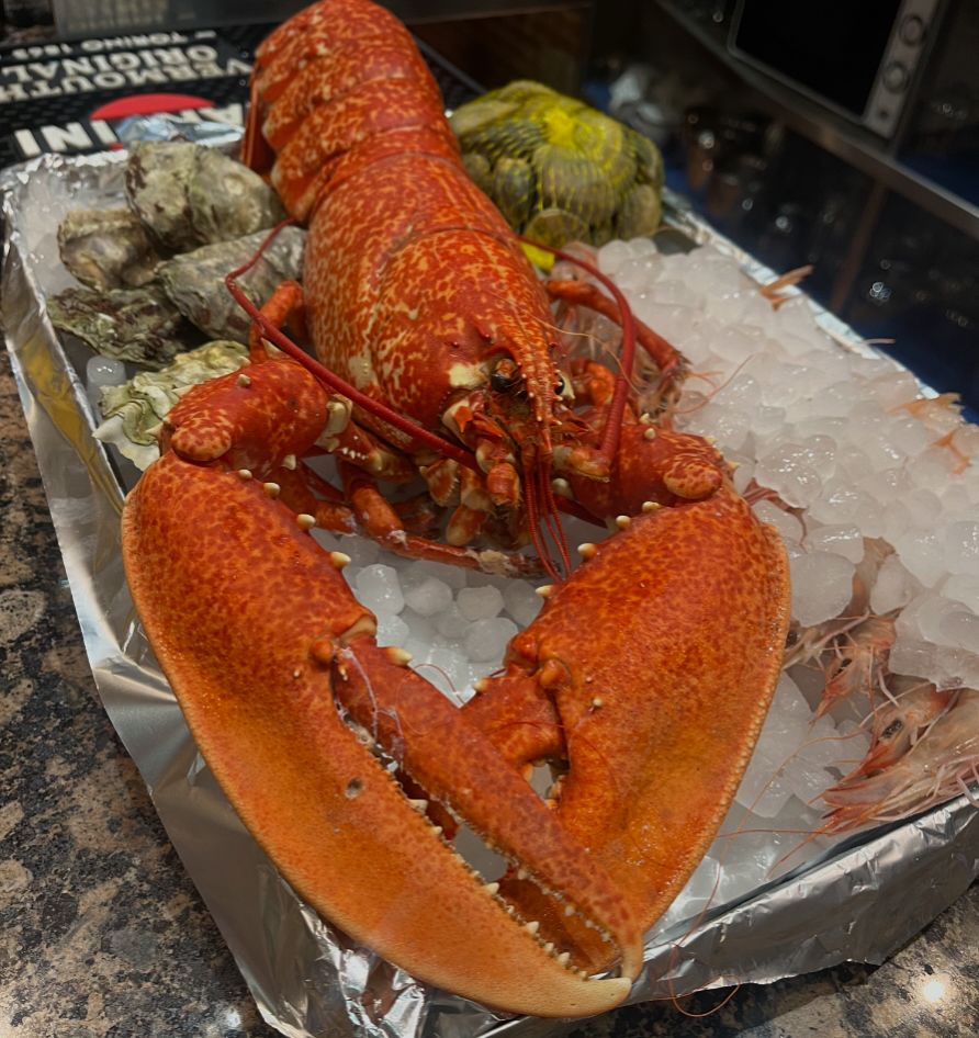 BOGA-BOGA TABERNA PREMIUM