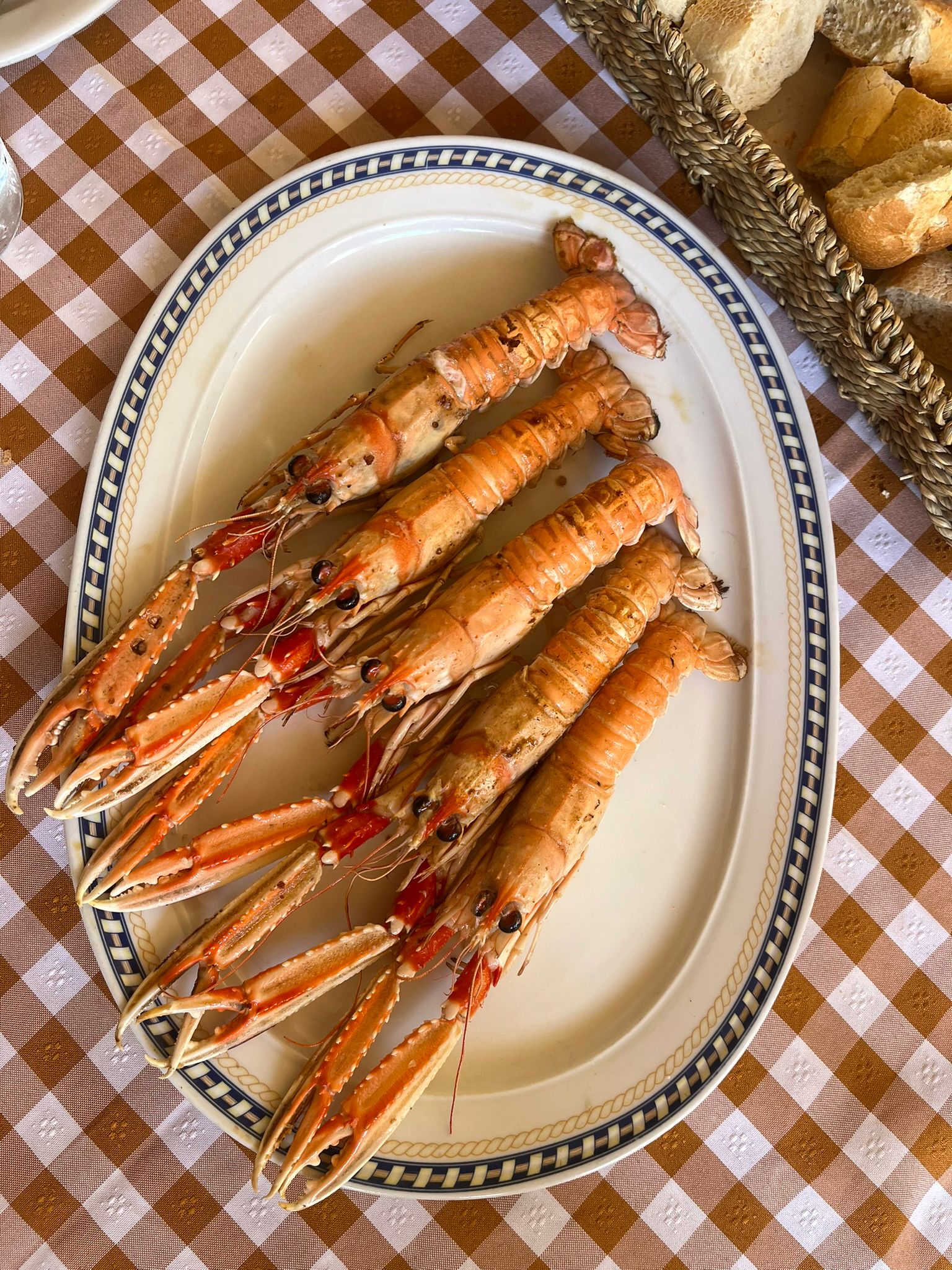 BOGA-BOGA TABERNA PREMIUM