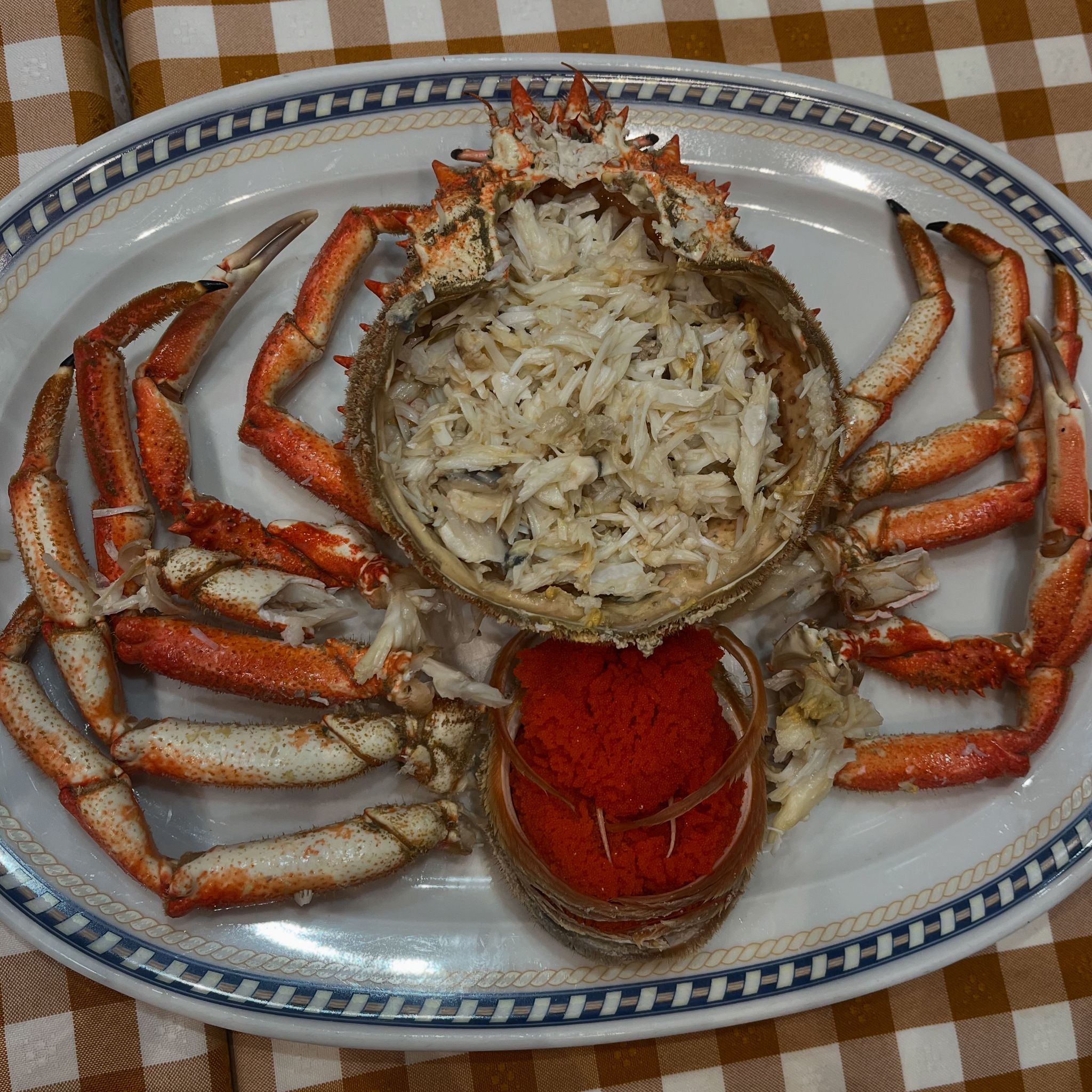 BOGA-BOGA TABERNA PREMIUM