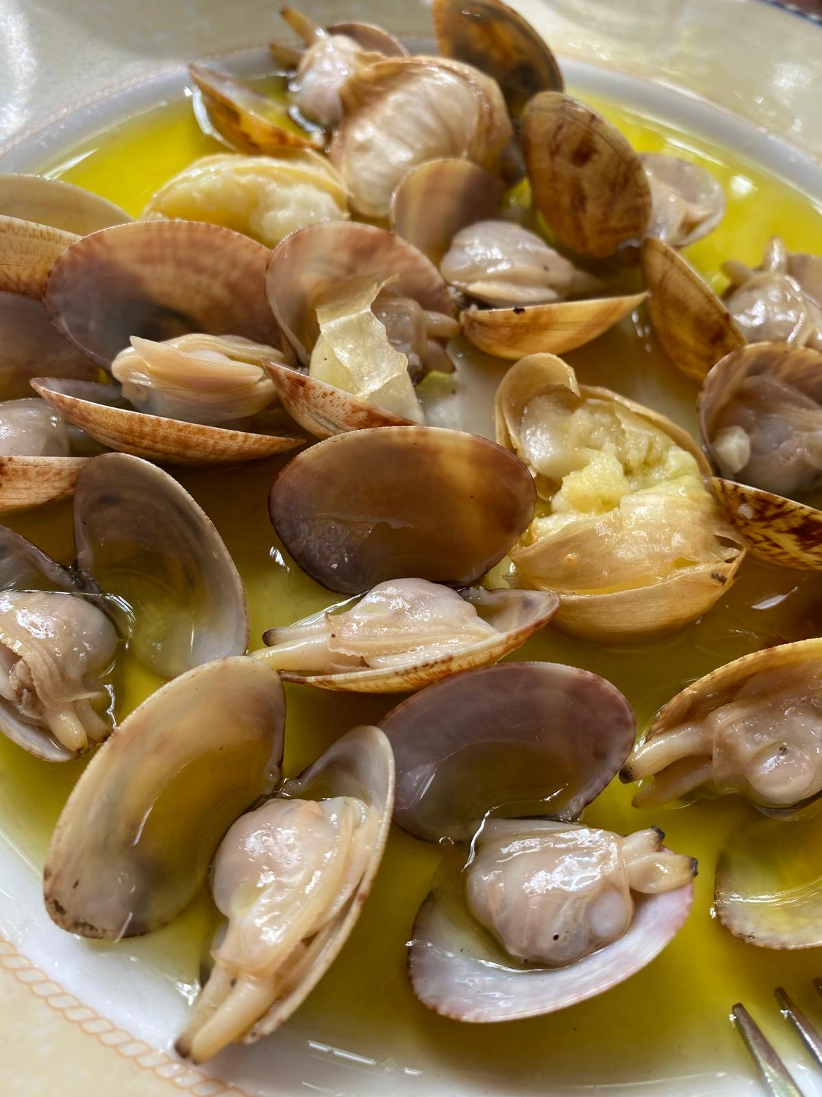 BOGA-BOGA TABERNA PREMIUM