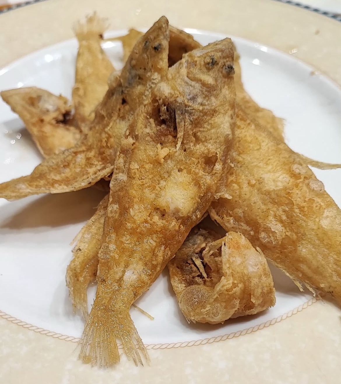 BOGA-BOGA TABERNA PREMIUM