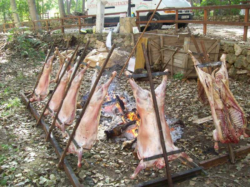 PAELLAS GIGANTES BARCELONA